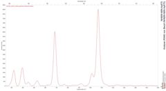 Analyse (RAM) von Beryll (NHMW-MIN-Ay670)